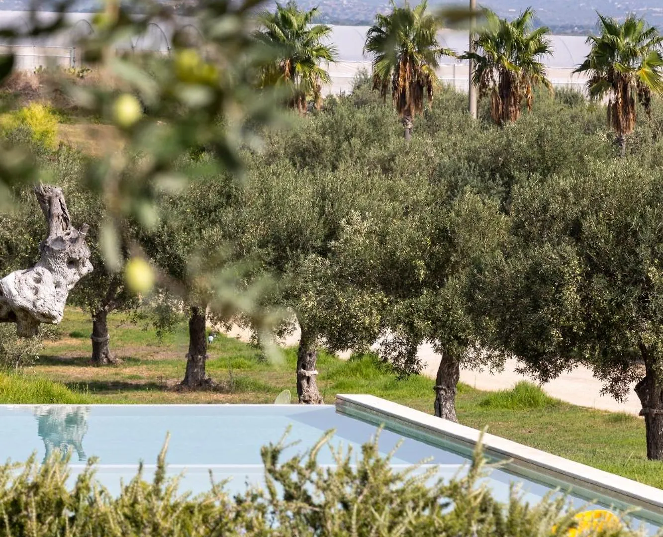 Agua Green Resort ريتاني